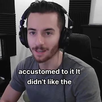 What is a healthy diet for a child