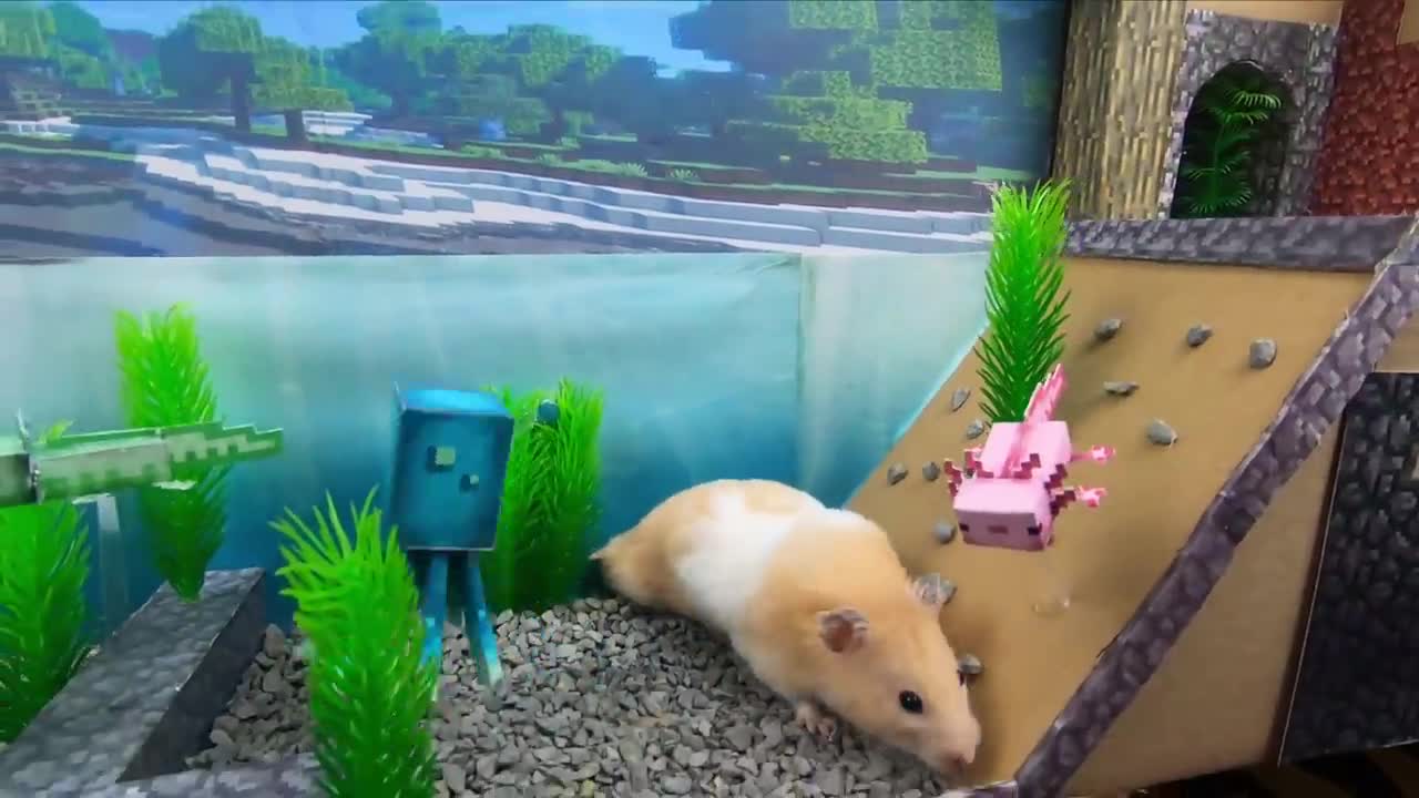 Hamster Escapes The Awesome Minecraft Maze With Underwater Obstacle Course8