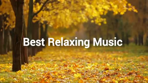 Relaxing Music | Sleeping, Meditation, Stress Relief | [880] ⭐️