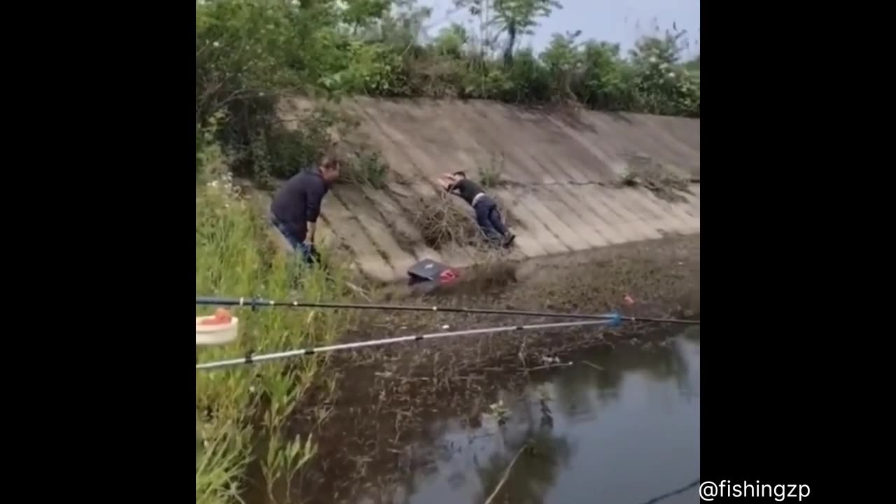 Funny Videos Collection 002