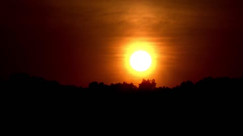 Sunrise TImelapse Over Trees