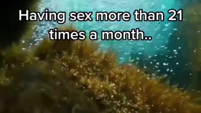 Having sex more than 21 times a month..