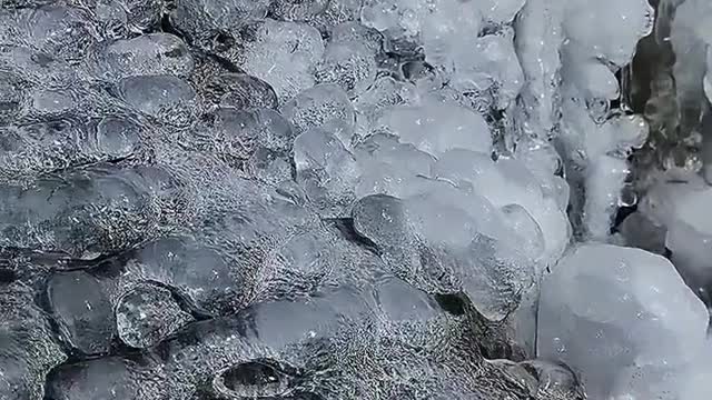 The subtleties of nature are always exciting