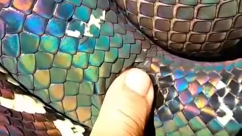 Snake skin. Absolutely amazing