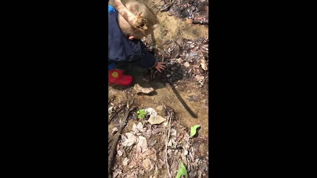 The Great Adventures of Luke and Papaw