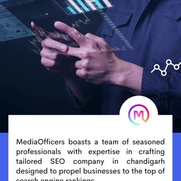 SEO Company in Chandigarh