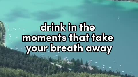Never lie steal cheat or drink