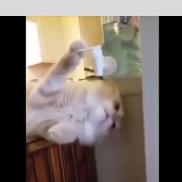 I really want cold water