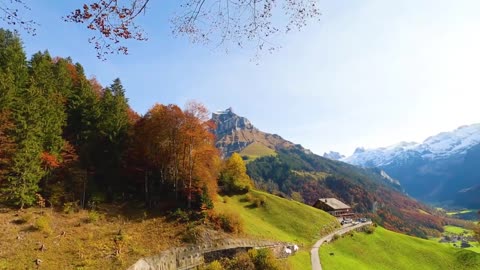 Relaxing Music | Sleeping, Meditation, Stress Relief | [5966] ⭐️