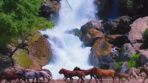 Beauty of Nature