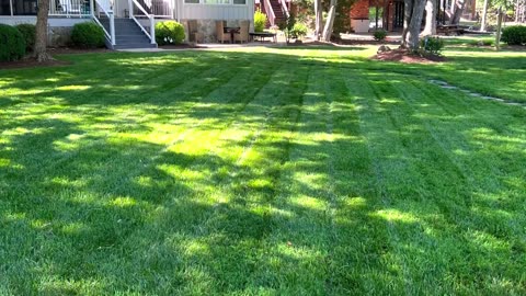 Mowing two new properties