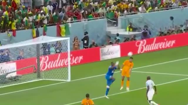 A special goal for Cody Gakpo on his World Cup