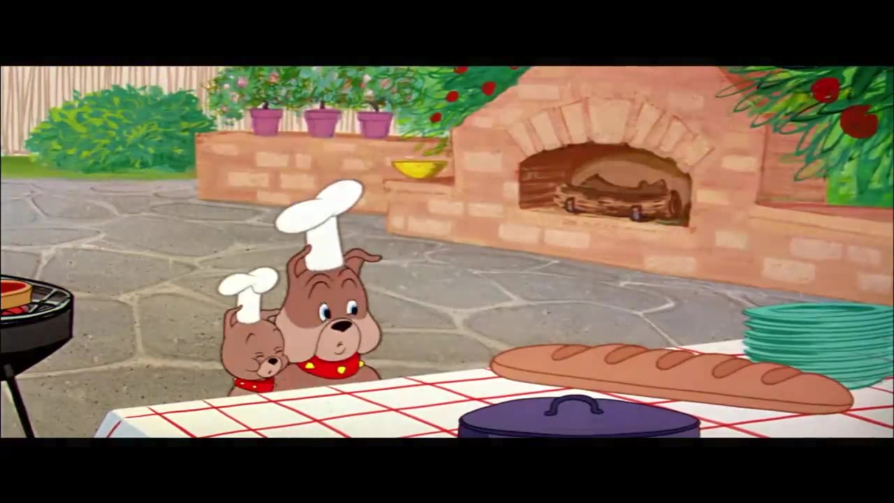 Tom and Jerry cartoon