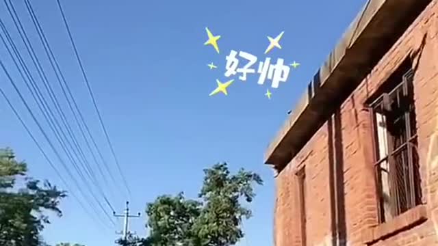crazy