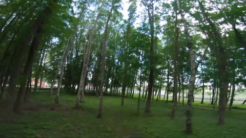 5inch in a tiny forest - FPV Freestyle