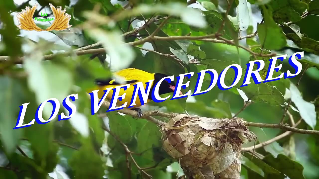 Capítulo 12 - Las cosas que es necesario vencer (2/9)