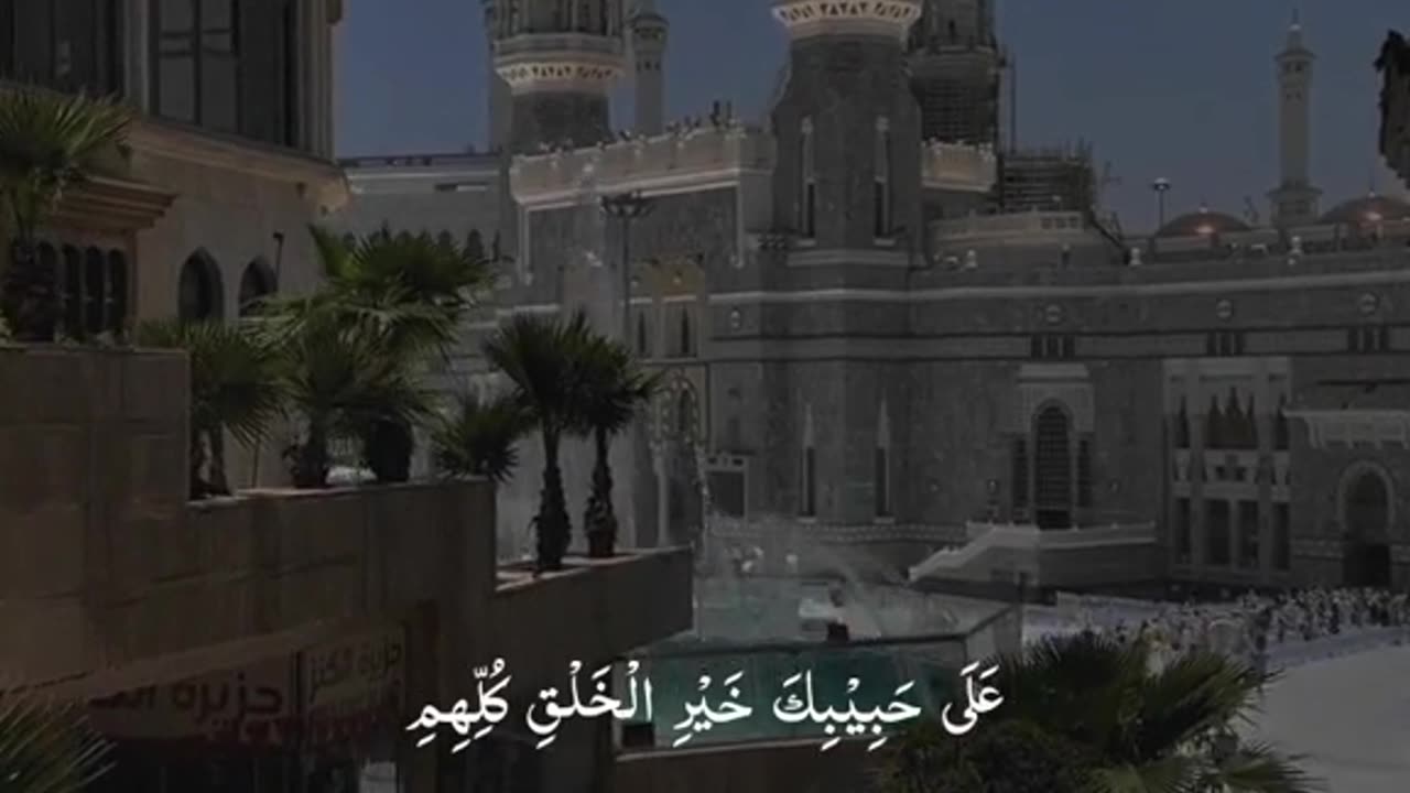 Funny video