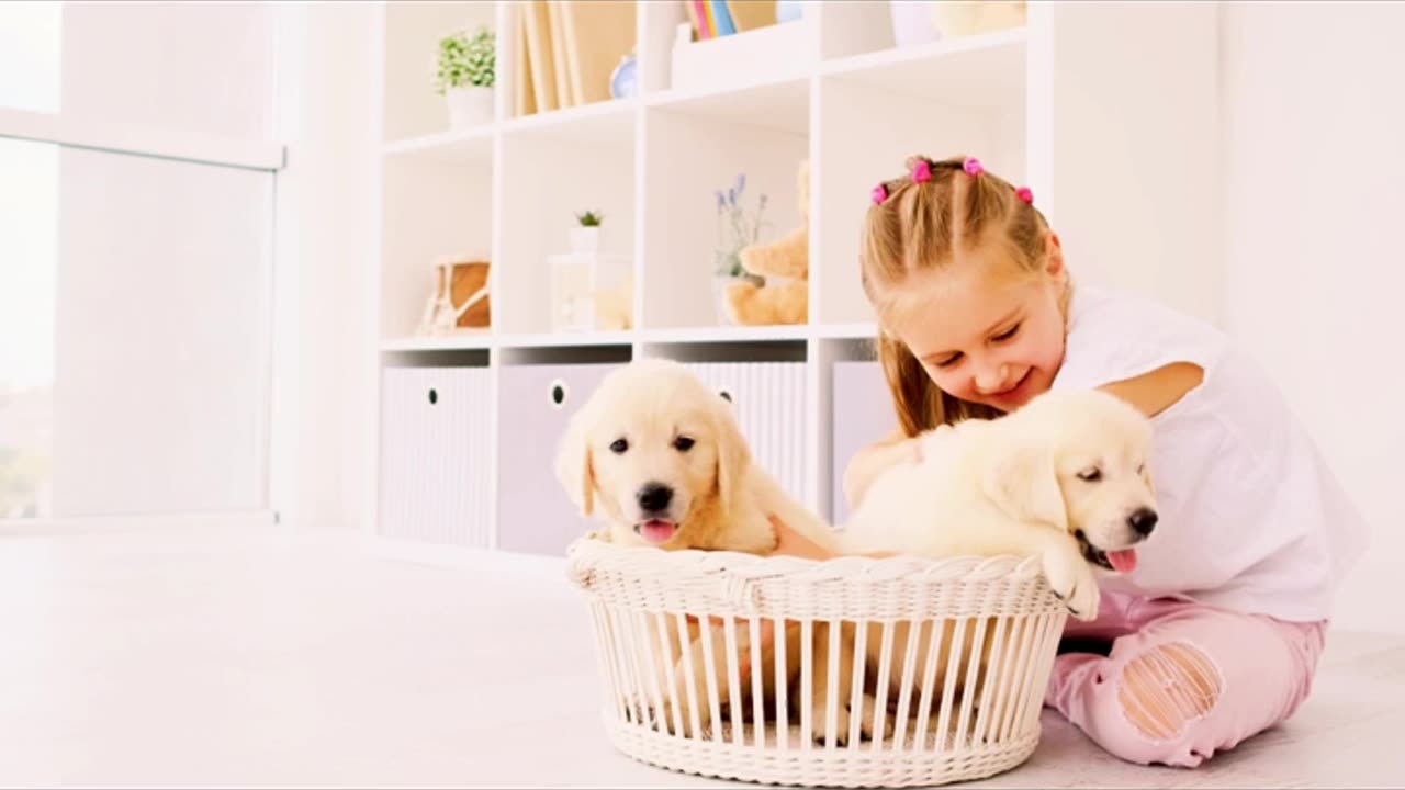 Adorable Baby Girl plays with Her Dog#puppy #petsofinstagram #youtubeshorts #viralvideo