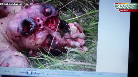 18+ Horrific details of the MH17. The plane that never crashed. This is the MH370! - Highly Graphic: