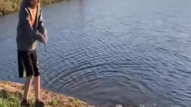 Human VS Crazy Fish Funny Video Compilation