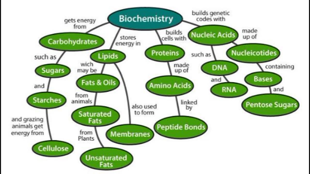 37 FACTS ABOUT BIOCHEMISTRY