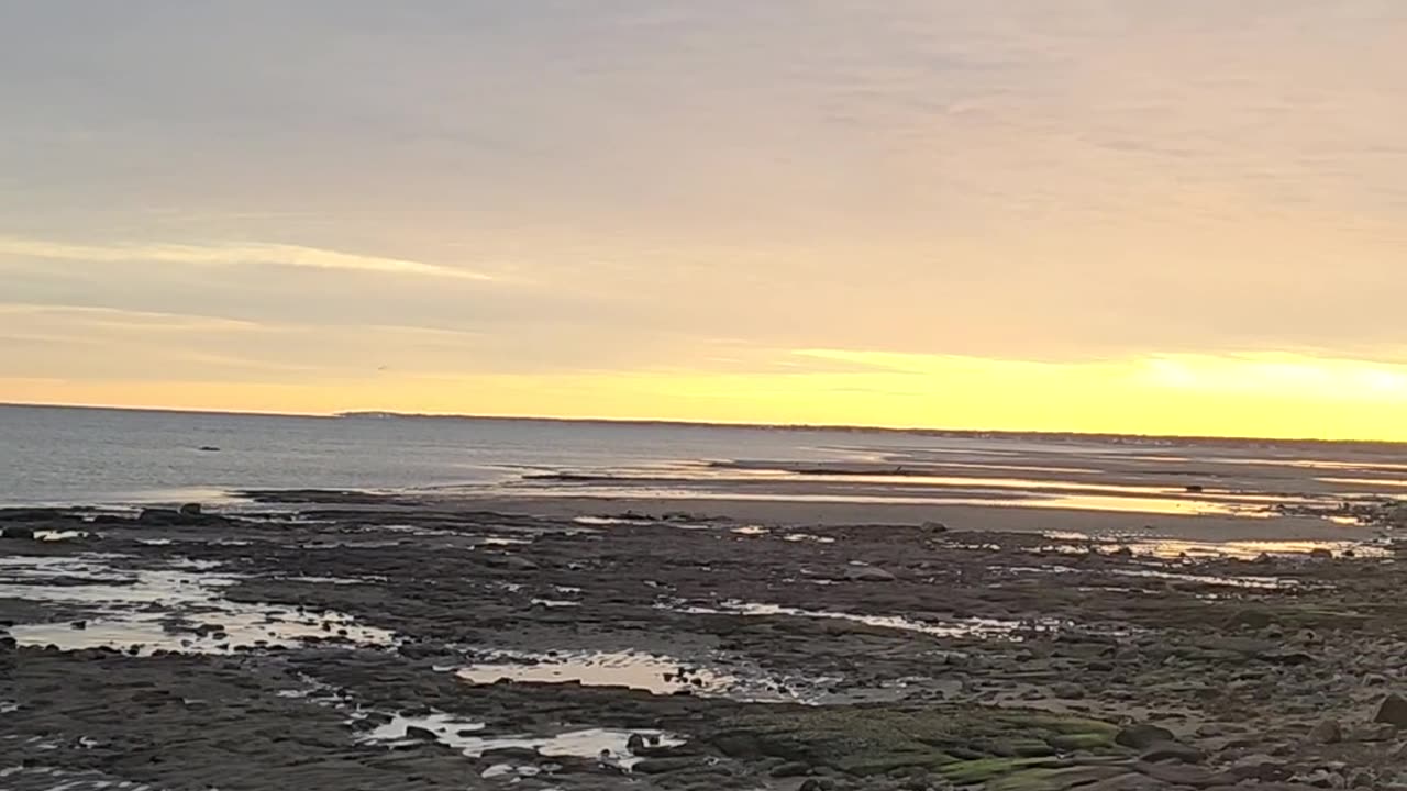 Low tide sunrise dec17/23