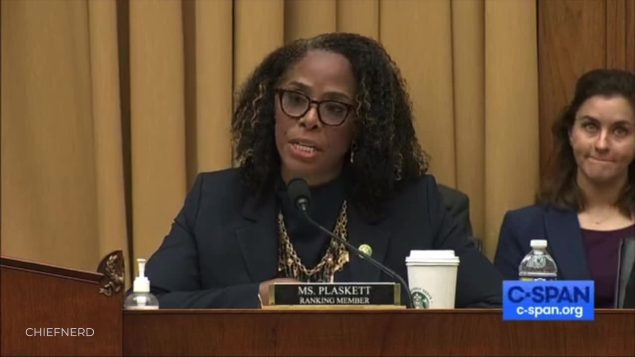 Stacey Plaskett Dedicates Her Opening Statement to Smearing Robert F. Kennedy Jr