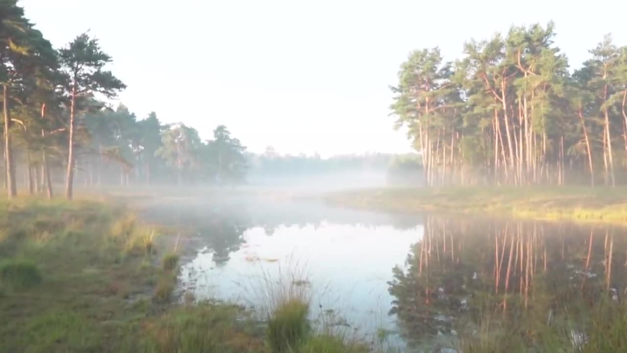 Royalty-Free Silent Nature Video: Free Stock Footage