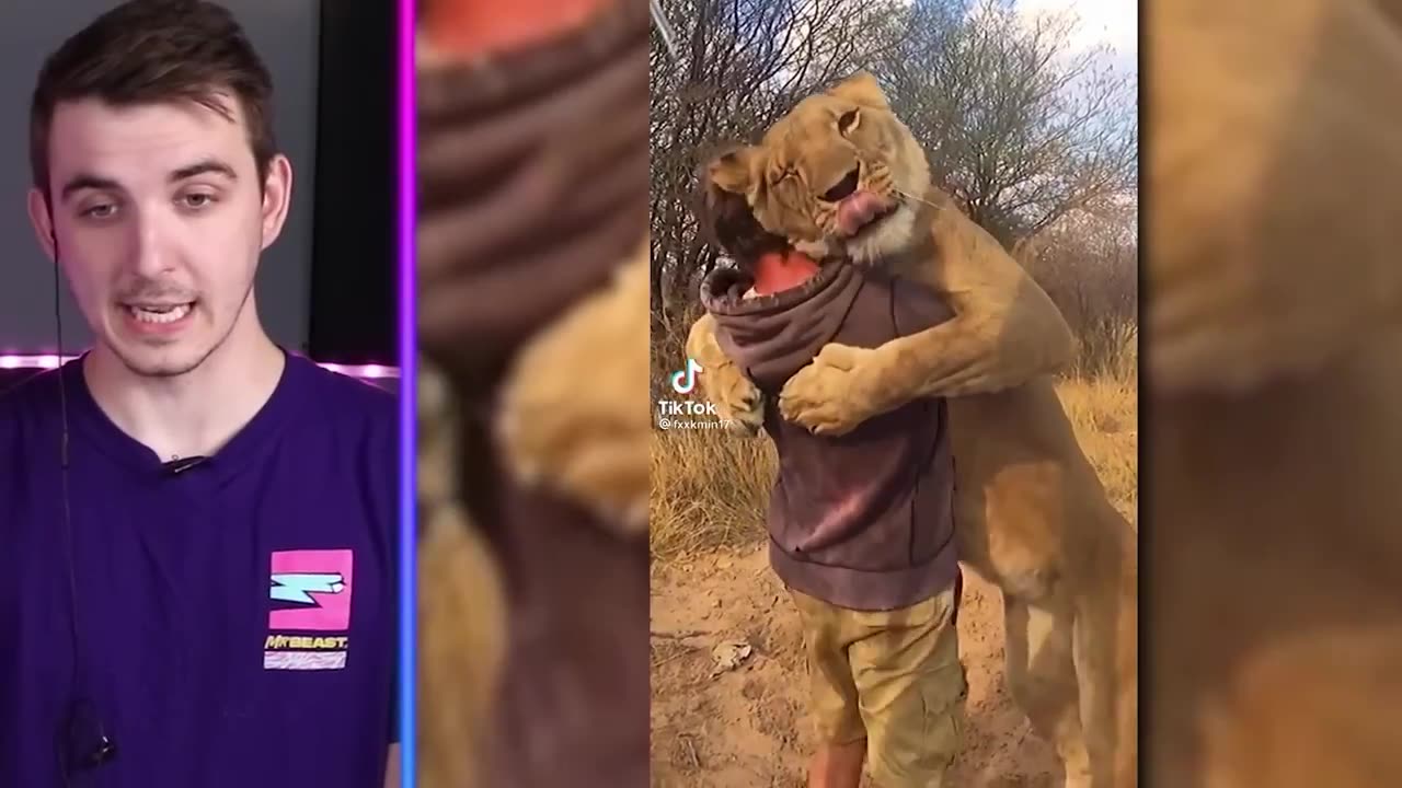 World's Most Viewed TikToks!