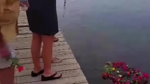 Funny Videos #viral #funny