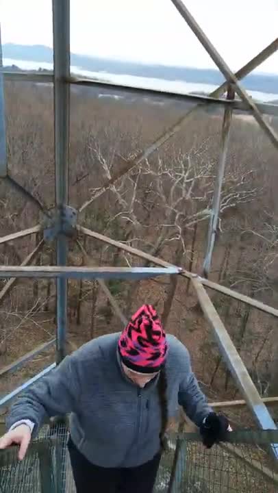 Ferncliff Forest Tower Climb Time-lapse