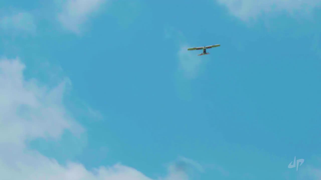 Rc airplane bettle