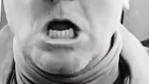 The Kittyman Sea Shanty