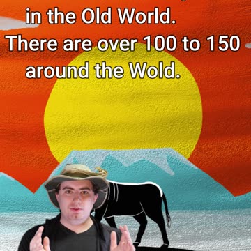 One 1 Species Makes This Sound! | Early Morning Eland 13