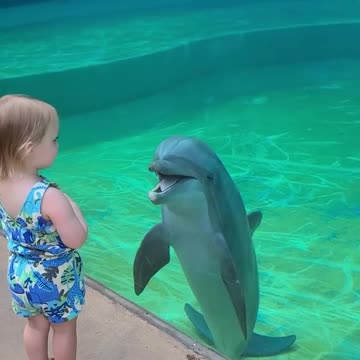 Toddler has adorable interaction with dolphin 😍😍😍
