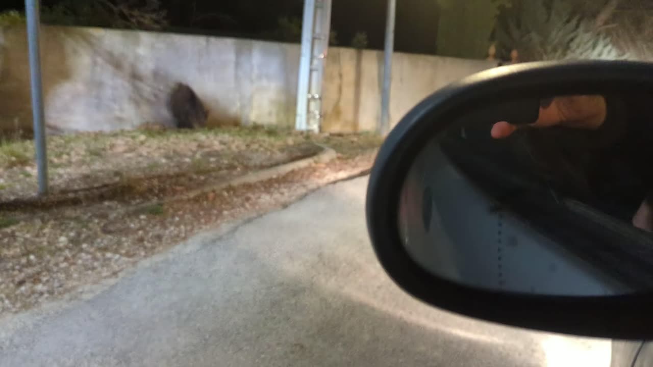 2023-03-13 (4) - rencontre fortuite - Youtube Triskel Expérimental mkv