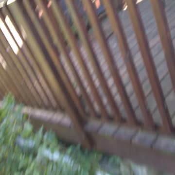 My house my backyard canada