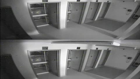 1704CRIB01CribAnalysisArea_2021-01-06_04h40min01s853ms.mp4