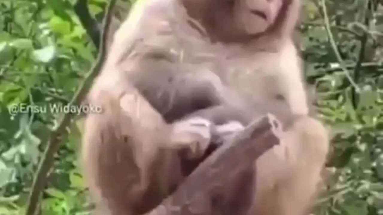Old man in trouble