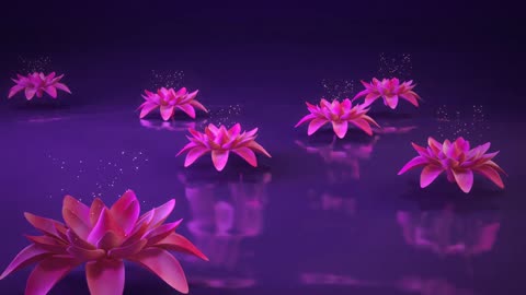 3D Lotus flower water reflection nature