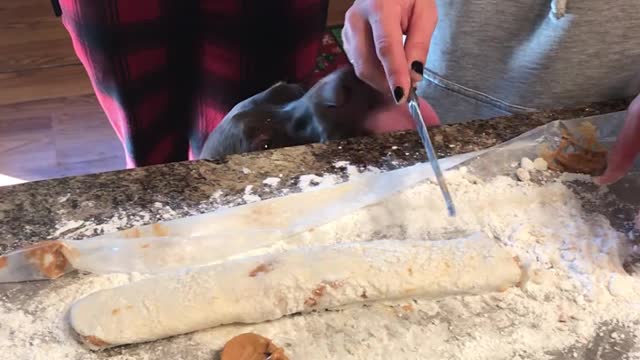 Dog Licks Flour off Edge of Countertop