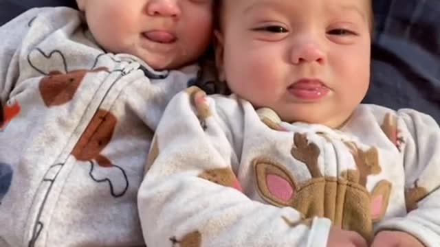 Cute baby twins