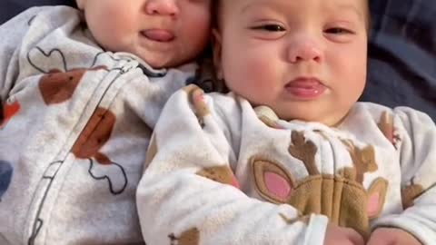 Cute baby twins