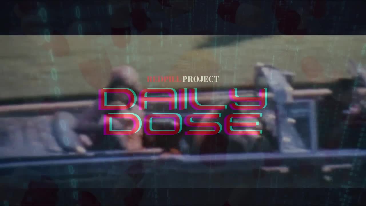Redpill Project Daily Dose Episode 278 | New World Order