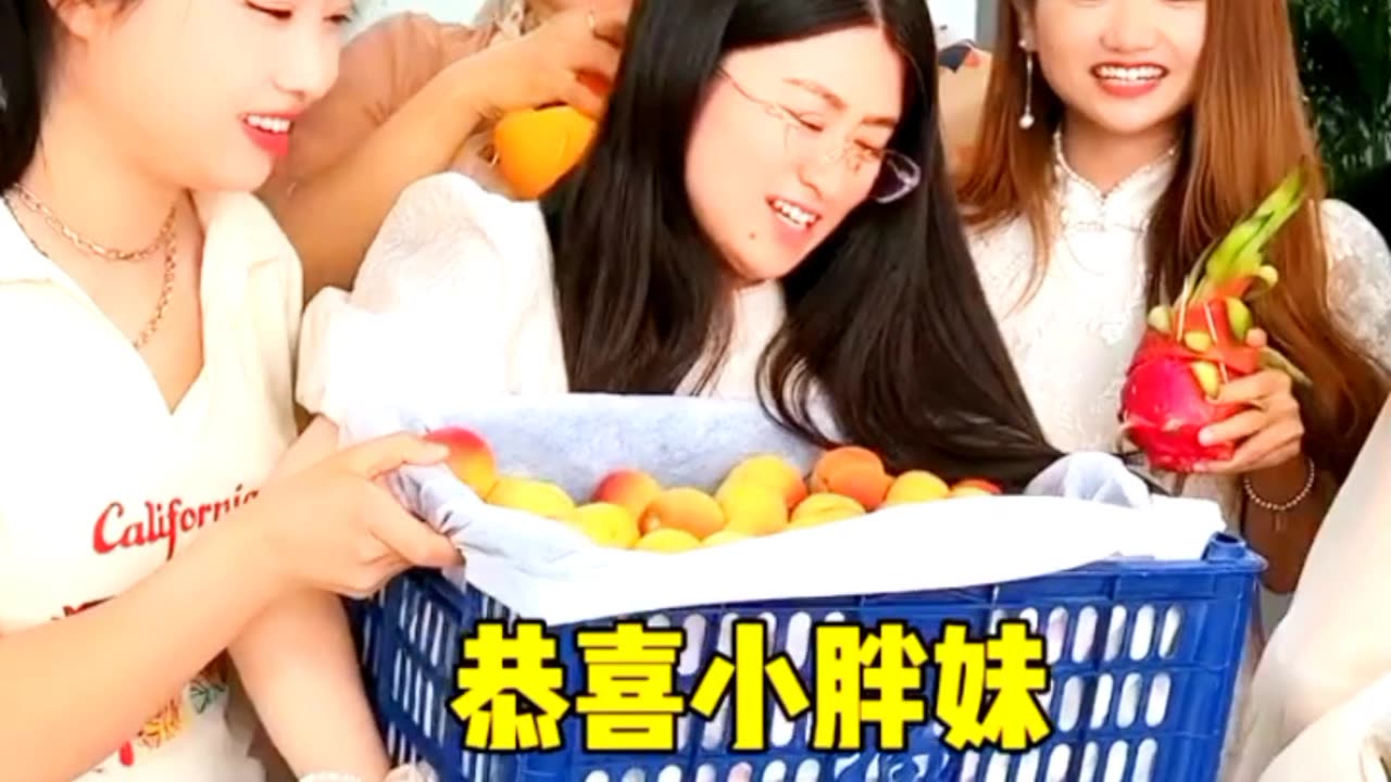 FUN GAME SHOW