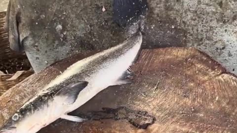 Fish cutting ✂️