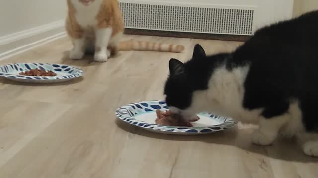 More eating