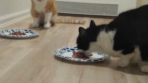 More eating