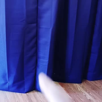 Let's pull back your veil!