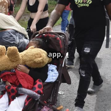 The Migrant Caravan Explained 🌍